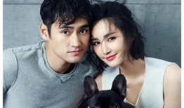 吃瓜大爆料明星名字,揭秘明星名字背后的惊人真相